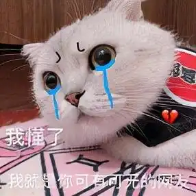 男生用猫猫表情包型男