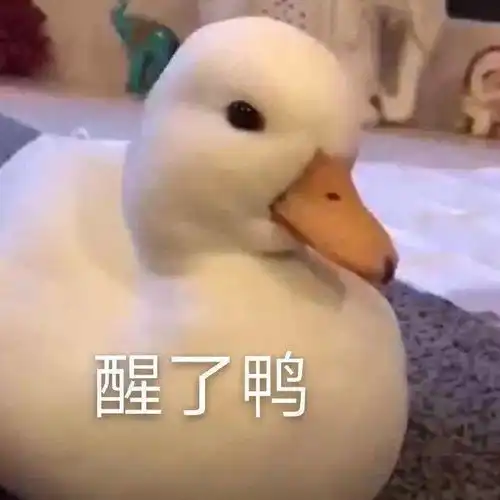 每晚分享沙雕表情包