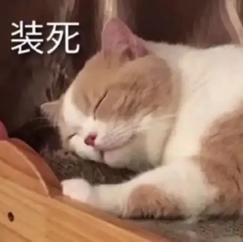 我就盯到你喜欢我为止