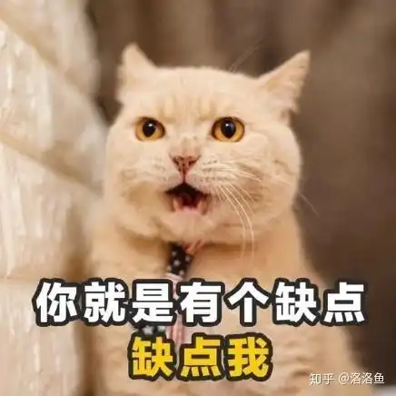 家里想在卫生间安装个洗澡的,没有燃气,小厨宝和电热水器那种好区别是什么啊