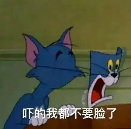 被生活所迫的表情包猫和