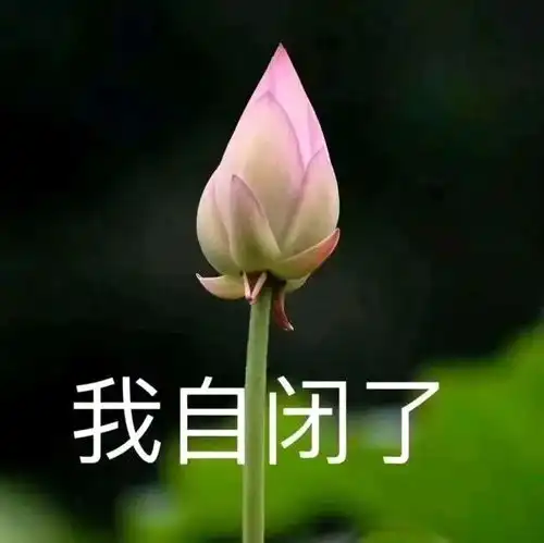 你可能看了个假展中国草间弥生村上隆联展,竟无一件是真品网友从未见过如此厚颜无耻之人
