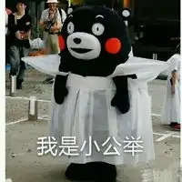 熊本熊聊天文字表情包今日忌约