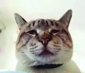 最全医院表情包,不许笑