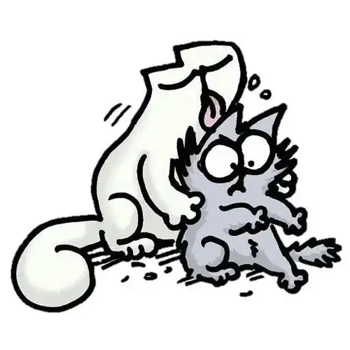 养二胎也推荐男上男这些性别组合,猫咪相处更融洽