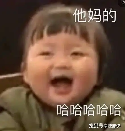 表情包图片一只猴子和一条狗的故事