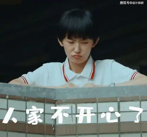 2020风犬少年的设计保研
