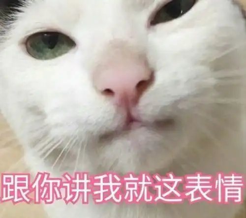 男生用猫猫表情包可爱