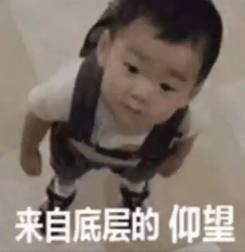 刘亦菲想问装壁暖的问题