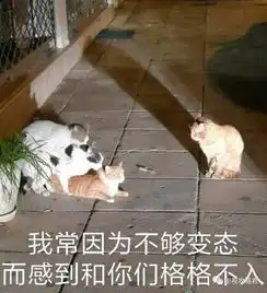 你害死我妈,我勾引你全家,这狗血新剧看得我停不下来