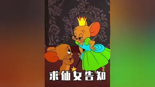 对象生气怎么哄表情包猫