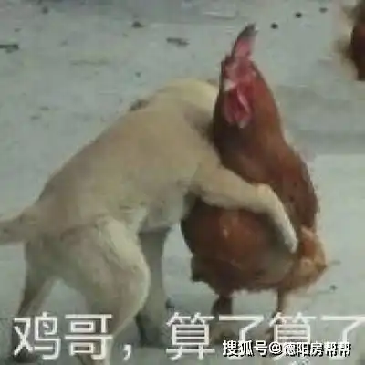 紧急从今天起德阳公积金贷款政策收紧,事关所有人