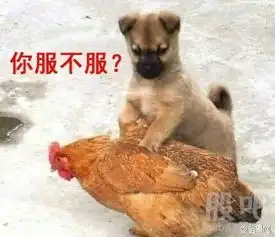 13年以前的股市波动,就像小孩打架,即使用尽全力,顶多鼻青脸肿一下,过几天就好了