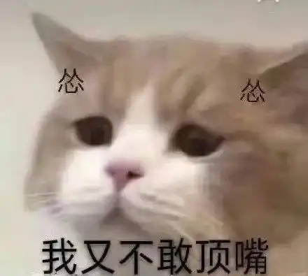 来一份可可爱爱的表情包吧2021.09.04