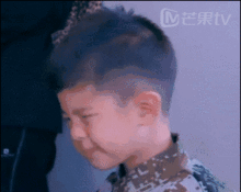 人称东北宋仲基