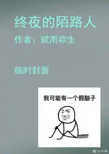 终夜的陌路人赋雨祢生