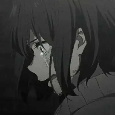 搜狐网