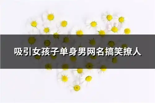 吸引女孩子单身男网名搞笑撩人精选91个