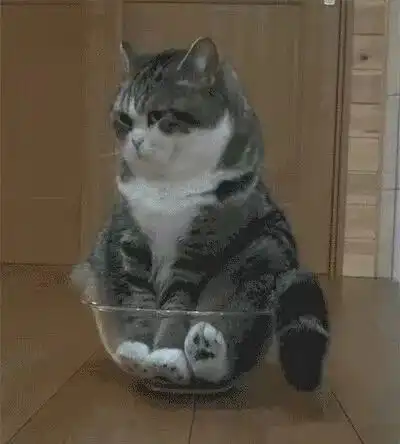 开心果这下不开心了