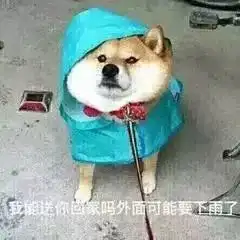 下雨了送你回家表情包沙