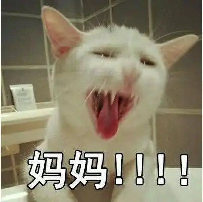 迪士尼亲子游我们在地球最快乐的地方,别让我扇你