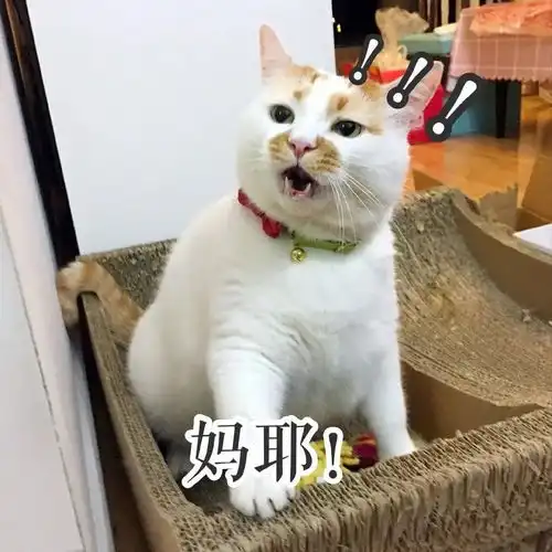 警惕,这个常见病也许会造成孩子学习成绩差