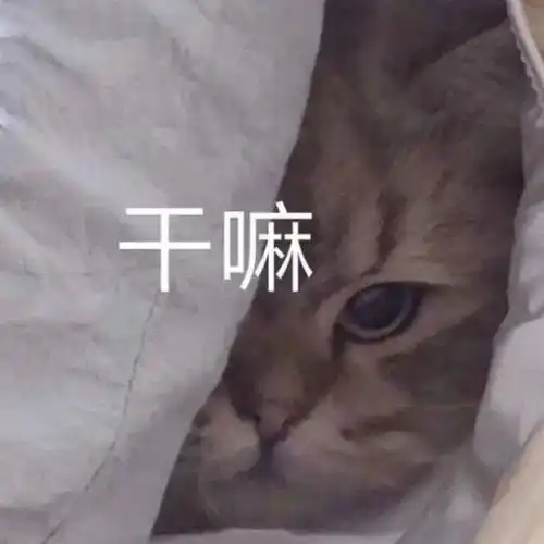 网恋被骗是一种什么体验