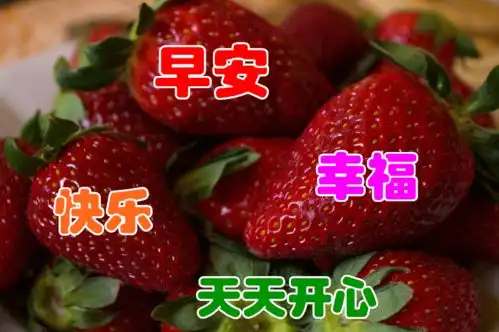 朋友圈最美特漂亮早上好表情包,2021最美早晨好动态图片大全