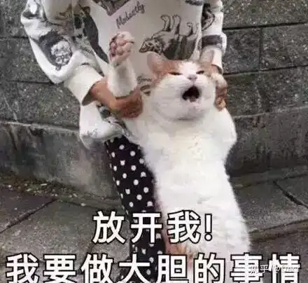 无收藏夹