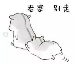 哄女朋友的表情包,兄弟们赶紧收藏保命