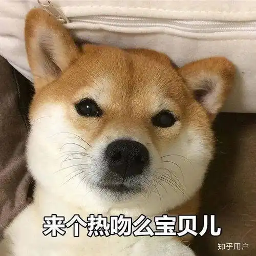 柴犬嫌弃的表情包头像