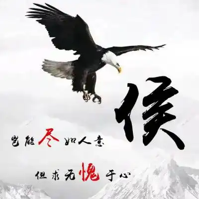雄鹰展翅姓氏微信头像岂能尽如人意但求无愧我心