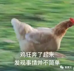 一天涨1块,突破12块,国鸡价格开启暴涨模式