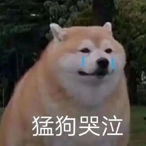 当hr第n次把我排名前10的学校认成野鸡大学,此刻内心是崩溃的
