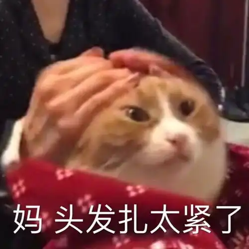 你还以为明星是靠平价养出来的真相是......
