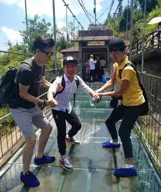 最爽兼职者如何找刺激石牛寨玻璃桥竟藏着这么多海豚