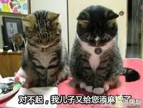 十条笑话各科老师都tm在群里布置额外作业,想踢又不敢踢