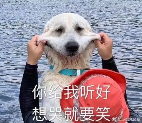滚的表情包动作快滚