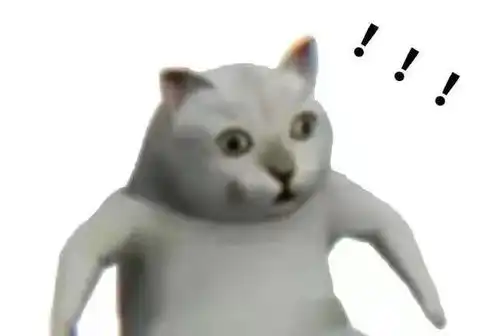 声优梗表情包猫咪