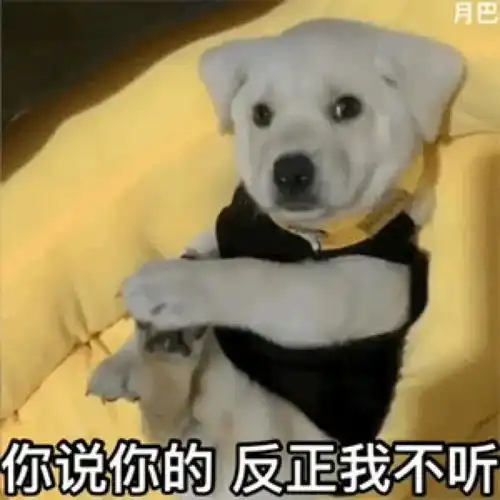 驾考表情包醉酒