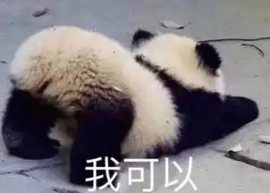 皮到哭笑不得的表情为我们的塑料姐妹情谊干杯