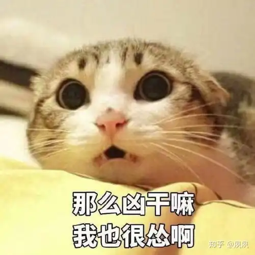 如何看待刘诗诗15个月不拍戏,这个七月工作室说放暑假的现象