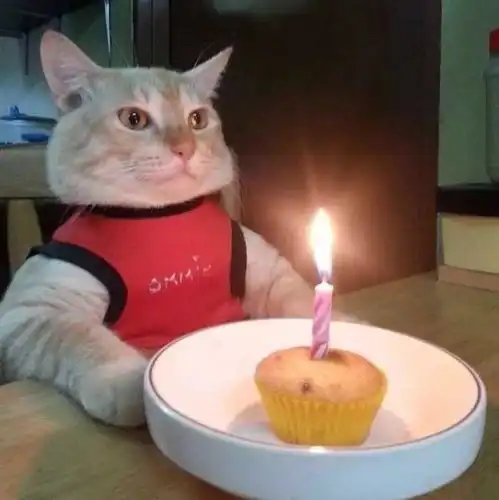 有没有那种可以祝人生日快乐的表情包