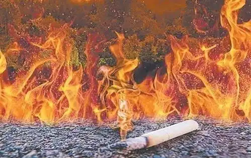 男子自信可以控火势,丢烟头酿山火获有期徒刑1年