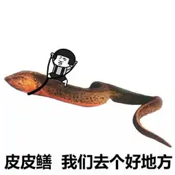 表情丨皮皮鳝,我们走动图带你飞