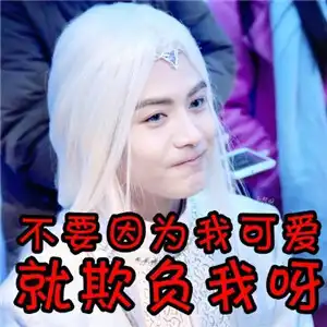 幻城马天宇