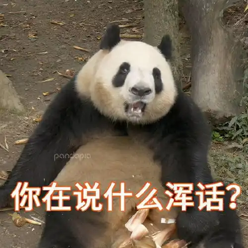 滚滚图享两个问题谁的表情包没有更新以及肉肉最后有没有挨打