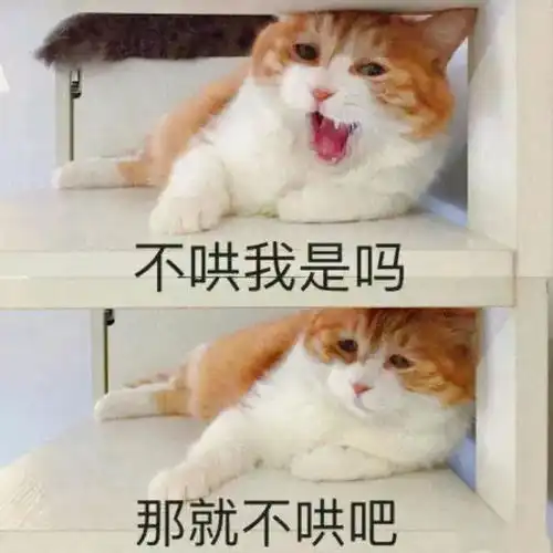 看看你生的气有多毒,心疼吵架慢半拍的人