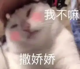 表情包你要不要接受我,这个甜蜜的麻烦
