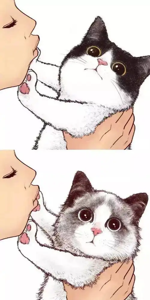 猫咪不要嫌弃我嘛,这组头像我要一天换一个